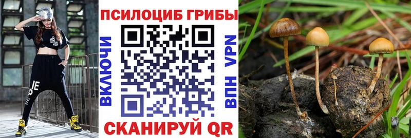 Псилоцибиновые грибы ЛСД  Похвистнево 