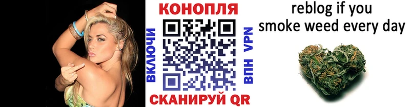 Конопля SATIVA & INDICA  дарнет шоп  Похвистнево 